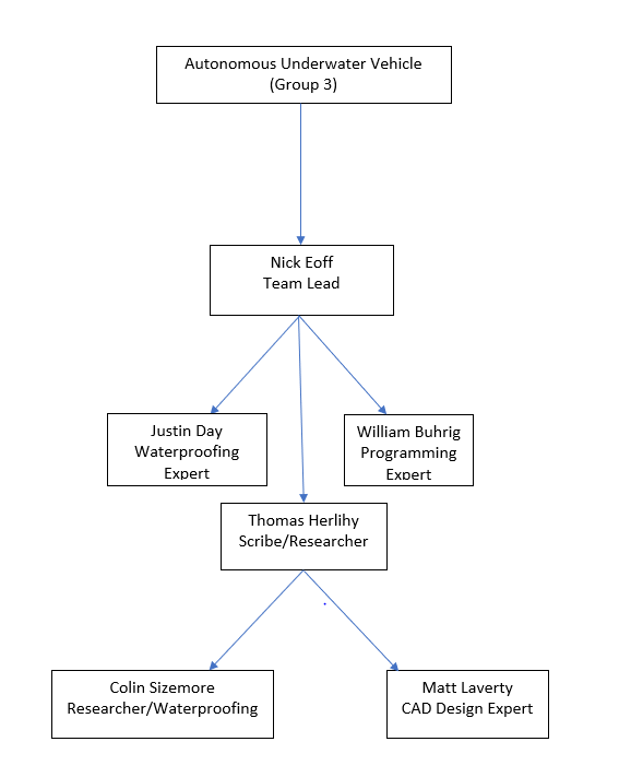 Team Organization Chart